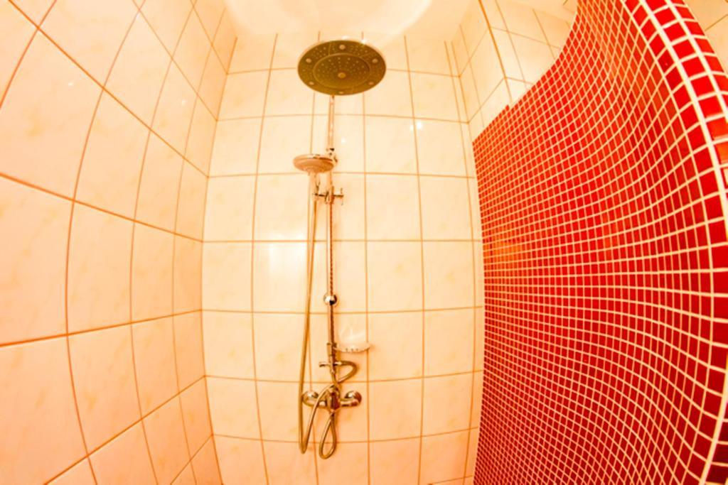 Apartament Kopernik Krasków Rom bilde